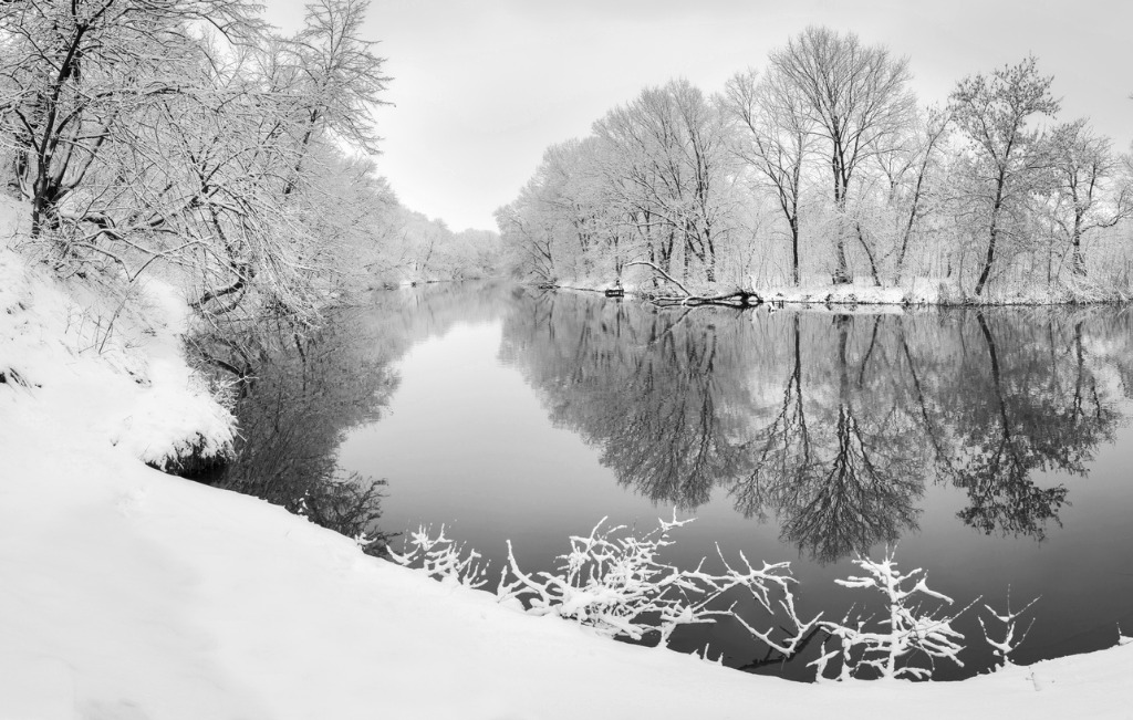 snowy-trees-river.jpg