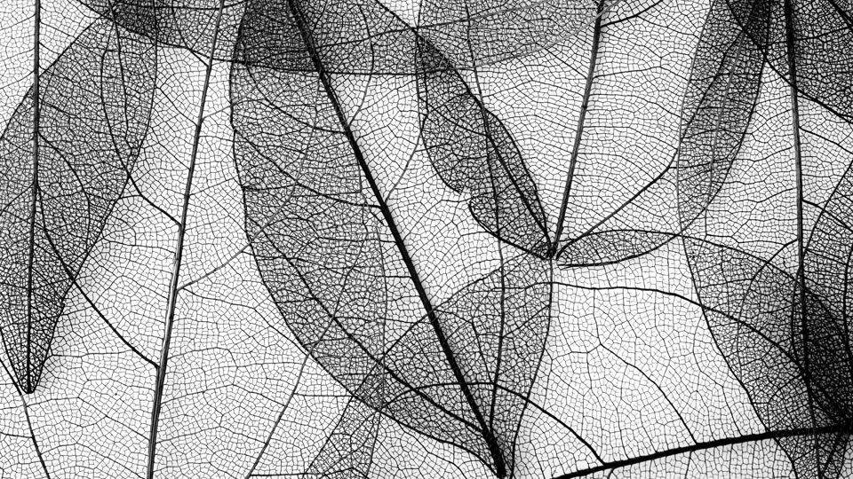 2025 Year in Review: Climate Impact