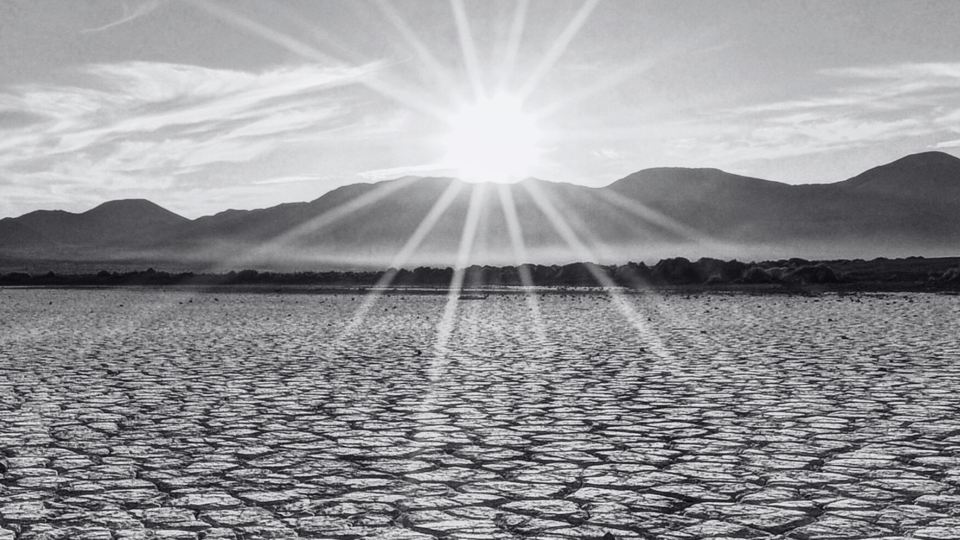 Summer review: a watershed moment for climate litigation