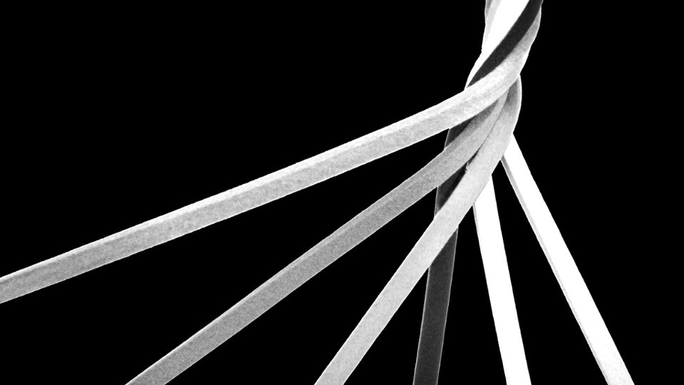 GCR 100 2025 confirms Hausfeld’s undisputed position as the only elite firm in both the European Claimants’ and US Plaintiffs’ Bar