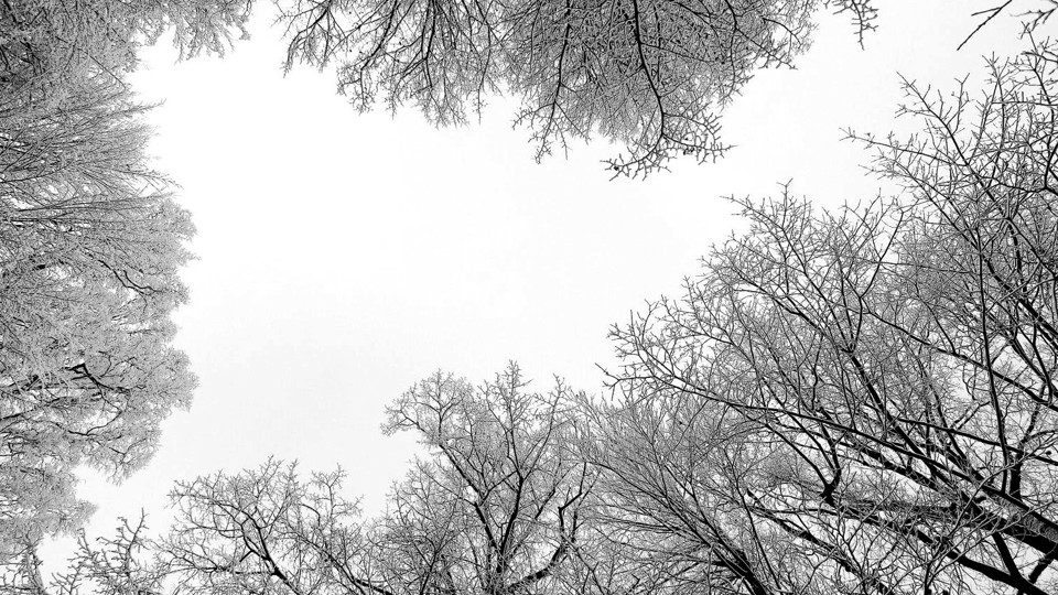 2024 Year in Review: Climate Impact