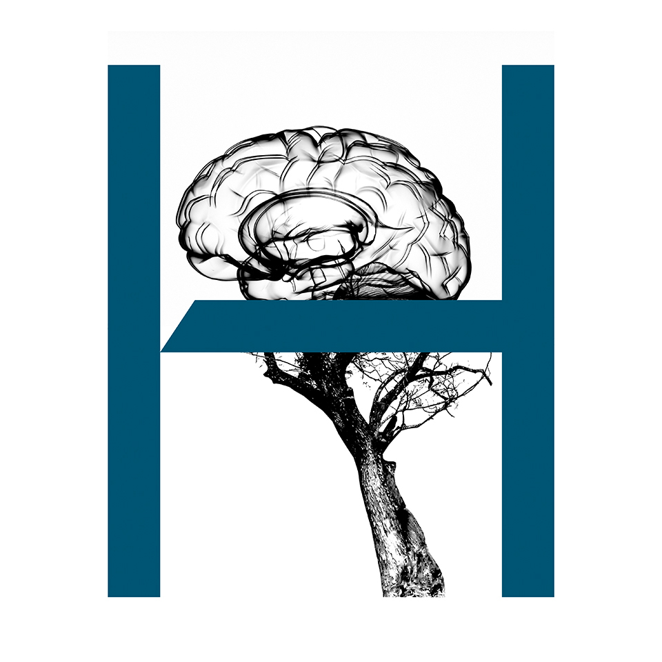 hausfeld_imagery_blue_rgb_brain-tree_t1_960x960.jpg