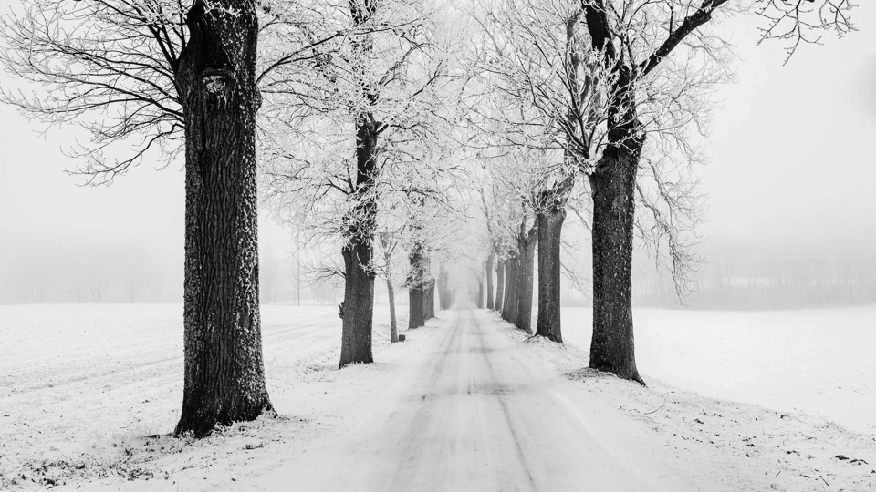 winter-lane.jpg